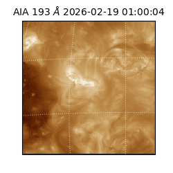 saia - 2026-02-19T01:00:04.843000