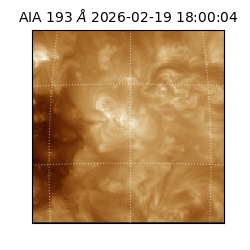 saia - 2026-02-19T18:00:04.838000