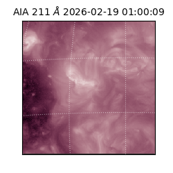 saia - 2026-02-19T01:00:09.630000