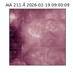 saia - 2026-02-19T09:00:09.632000