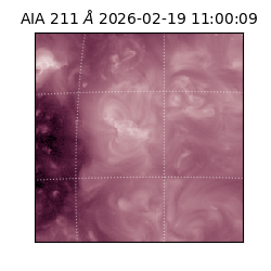 saia - 2026-02-19T11:00:09.633000