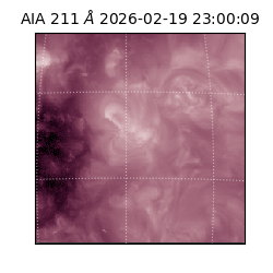 saia - 2026-02-19T23:00:09.626000