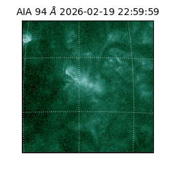 saia - 2026-02-19T22:59:59.122000