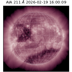 saia - 2026-02-19T16:00:09.630000