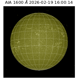 saia - 2026-02-19T16:00:14.126000