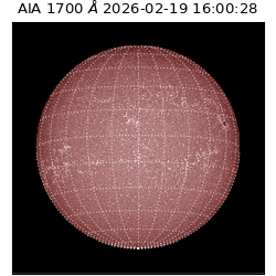 saia - 2026-02-19T16:00:28.717000