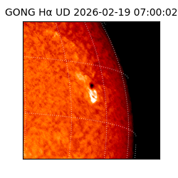 gong - 2026-02-19T07:00:02