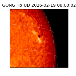 gong - 2026-02-19T08:00:02