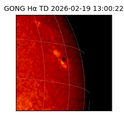 gong - 2026-02-19T13:00:22