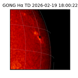 gong - 2026-02-19T18:00:22