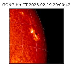 gong - 2026-02-19T20:00:42