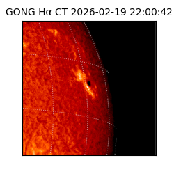 gong - 2026-02-19T22:00:42