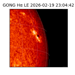 gong - 2026-02-19T23:04:42