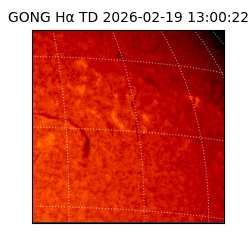 gong - 2026-02-19T13:00:22