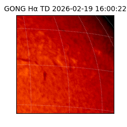gong - 2026-02-19T16:00:22