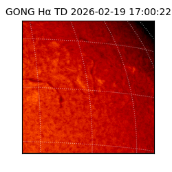 gong - 2026-02-19T17:00:22