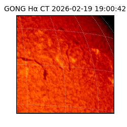 gong - 2026-02-19T19:00:42