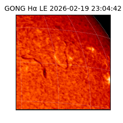 gong - 2026-02-19T23:04:42