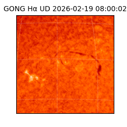 gong - 2026-02-19T08:00:02