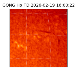gong - 2026-02-19T16:00:22