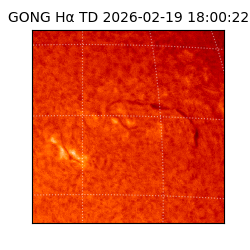 gong - 2026-02-19T18:00:22