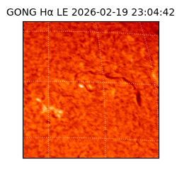 gong - 2026-02-19T23:04:42
