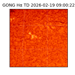 gong - 2026-02-19T09:00:22