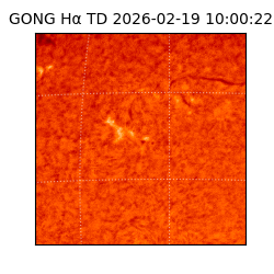 gong - 2026-02-19T10:00:22
