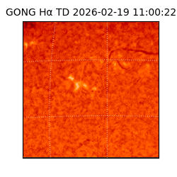 gong - 2026-02-19T11:00:22