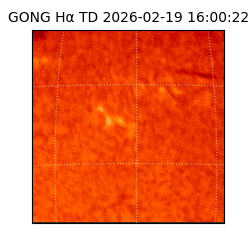 gong - 2026-02-19T16:00:22
