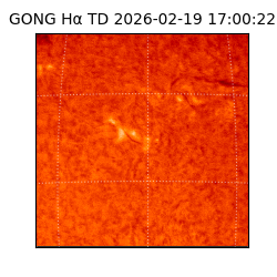 gong - 2026-02-19T17:00:22