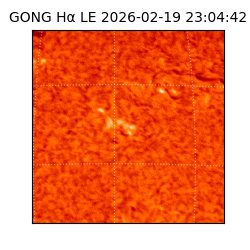 gong - 2026-02-19T23:04:42