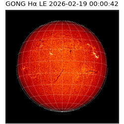 gong - 2026-02-19T00:00:42