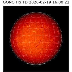 gong - 2026-02-19T16:00:22