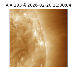 saia - 2026-02-20T11:00:04.843000