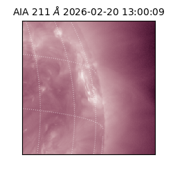 saia - 2026-02-20T13:00:09.626000