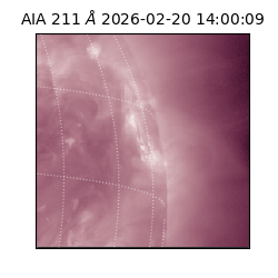 saia - 2026-02-20T14:00:09.627000