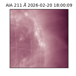 saia - 2026-02-20T18:00:09.632000