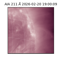 saia - 2026-02-20T19:00:09.626000