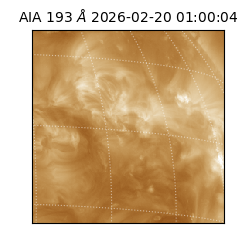 saia - 2026-02-20T01:00:04.843000