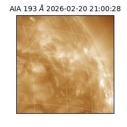saia - 2026-02-20T21:00:28.843000