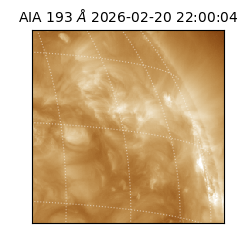 saia - 2026-02-20T22:00:04.835000