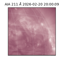 saia - 2026-02-20T20:00:09.626000