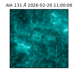 saia - 2026-02-20T11:00:06.622000