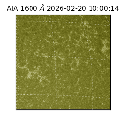 saia - 2026-02-20T10:00:14.130000