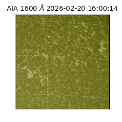 saia - 2026-02-20T16:00:14.126000