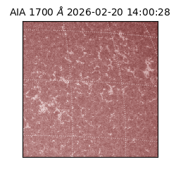 saia - 2026-02-20T14:00:28.717000