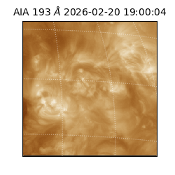 saia - 2026-02-20T19:00:04.843000