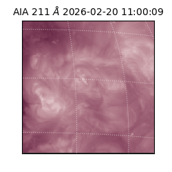 saia - 2026-02-20T11:00:09.631000