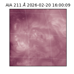 saia - 2026-02-20T16:00:09.616000